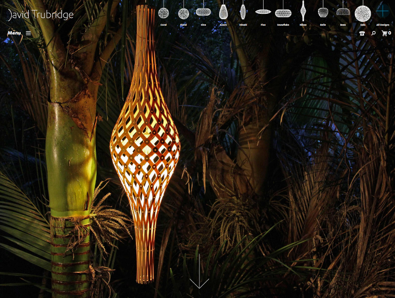 David Trubridge / Home page